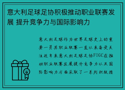 意大利足球足协积极推动职业联赛发展 提升竞争力与国际影响力