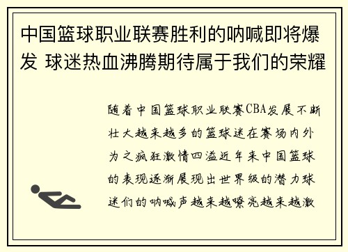 中国篮球职业联赛胜利的呐喊即将爆发 球迷热血沸腾期待属于我们的荣耀时刻